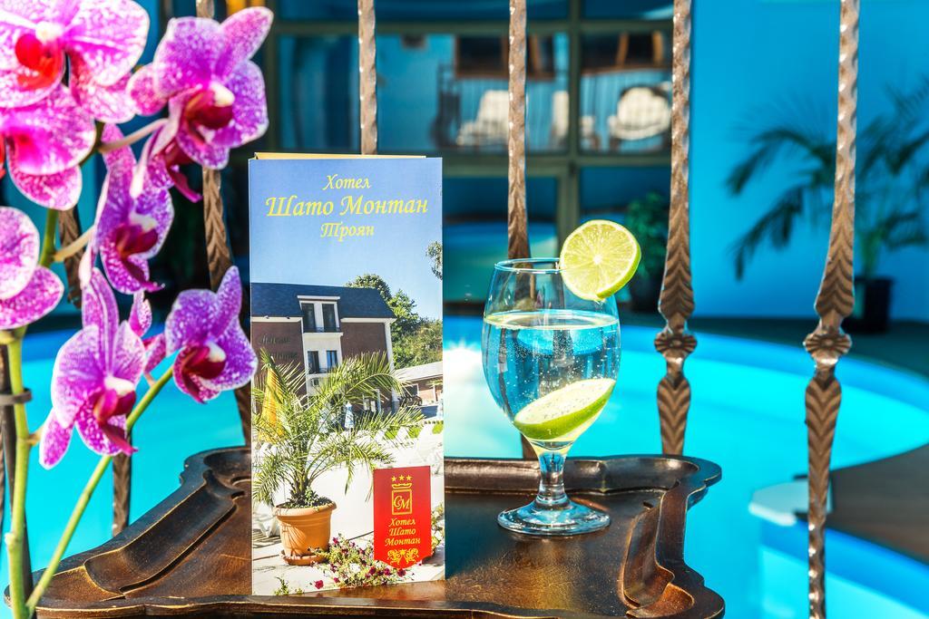 Chateau Montagne Hotel Troyan Troyan  Εξωτερικό φωτογραφία