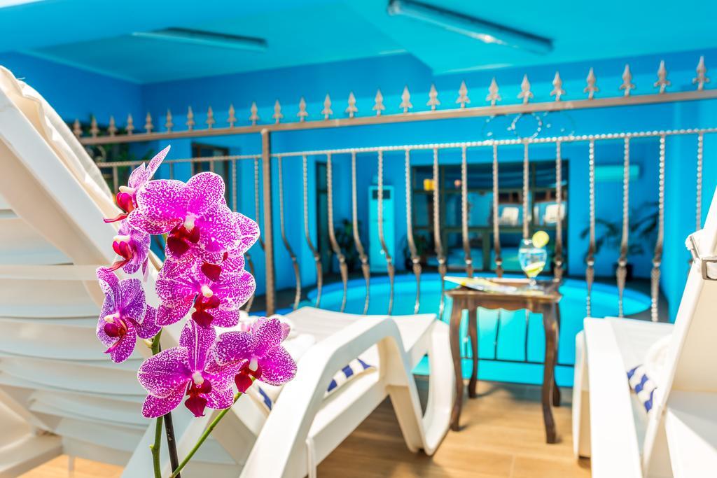 Chateau Montagne Hotel Troyan Troyan  Εξωτερικό φωτογραφία